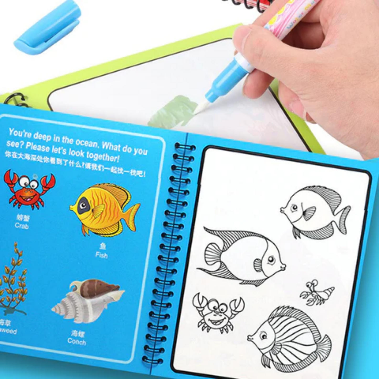 Pack 4 Libros Magicos de Agua Reutilizables