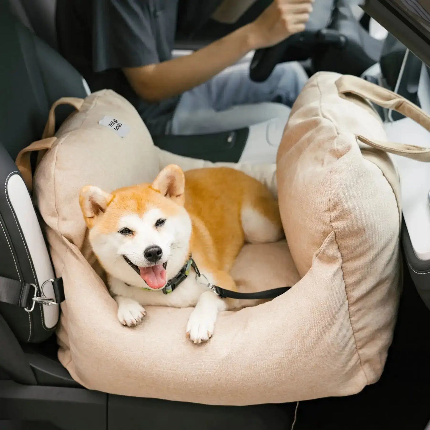 Asiento Primera Clase - Paseos seguros y cómodos