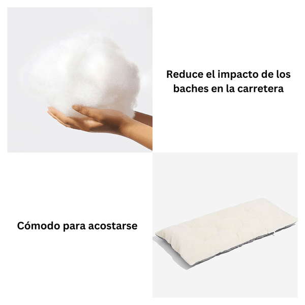 Asiento Primera Clase - Paseos seguros y cómodos