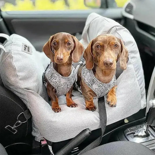 Asiento Primera Clase - Paseos seguros y cómodos