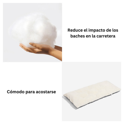 Asiento Primera Clase - Paseos seguros y cómodos